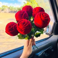 باکس گل مخملی